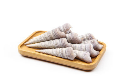 白底上的钉螺 钉螺