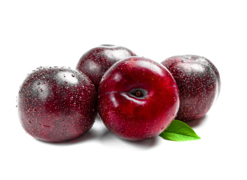 白底上的黑布林 黑布林