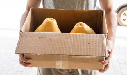 快递人员将生鲜水果送货上门