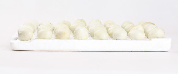 箱子里的鹌鹑皮蛋