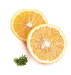 白底上的柠檬果肉 柠檬