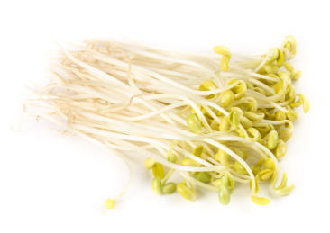 白底上的豆芽 豆芽