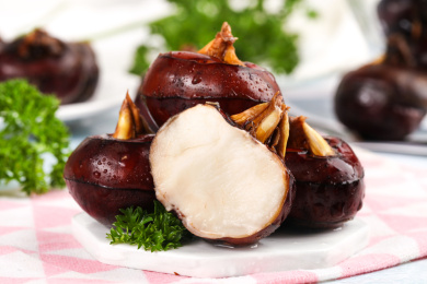 彩底上放着红马蹄