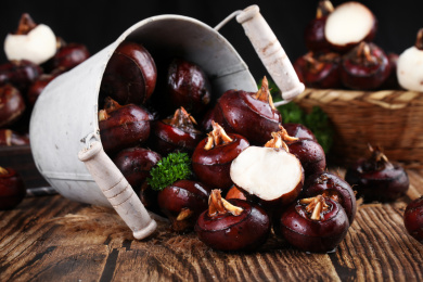 深底上的广西荔浦马蹄