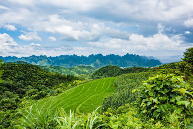 广西河池市巴马命河田园风光