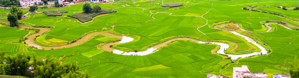 广西河池夏天的巴马命河