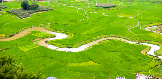 广西河池夏天的巴马命河
