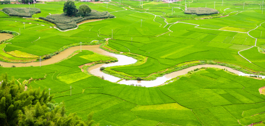 广西河池夏天的巴马命河