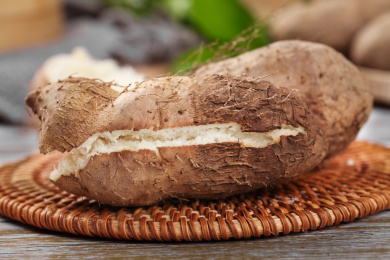 木底上放着蒸熟的毛薯