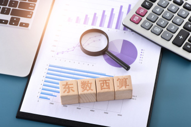 图表上的文字积木东数西算