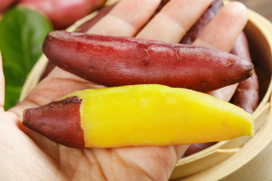 手里拿着临安小香薯