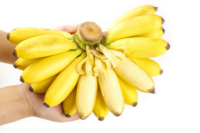 手里拿着新鲜小米蕉