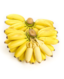 白底上摆放着广西小米蕉