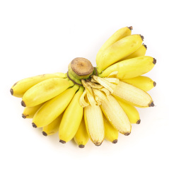 白底上摆放着皇帝蕉