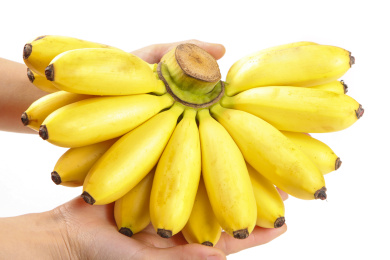 手里拿着新鲜小米蕉