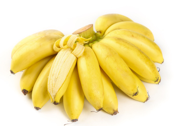 白底上摆放着广西小米蕉