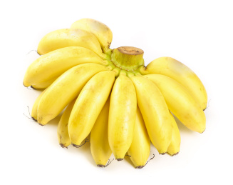 白底上摆放着小米蕉