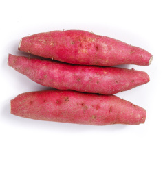 白底上摆放着小香薯