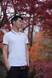 帅气英俊的中国男子在户外红色的枫树树林