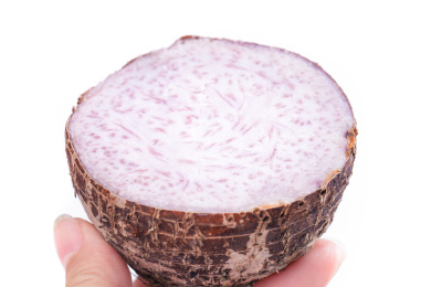 手里拿着芋头