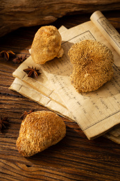 古书上的猴头菇