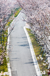 中国江苏苏州秀岸站城市风光