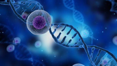 蓝色螺旋基因组