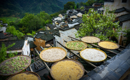 婺源篁岭晒秋习俗