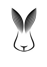 兔矢量设计