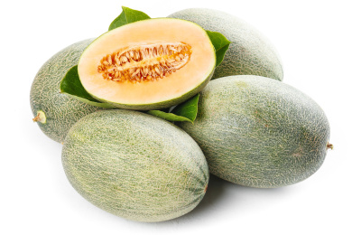 白底上放着新疆哈密瓜