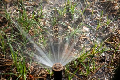 公园绿地浇水装置