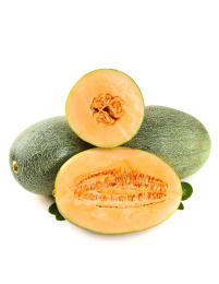 白底上放着新疆哈密瓜