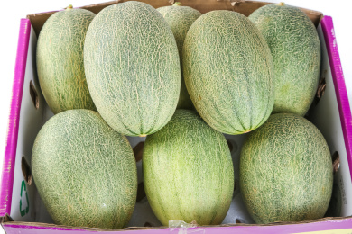 纸箱里装着哈密瓜