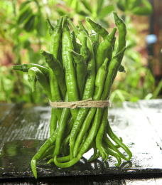 石板上放着一捆线椒