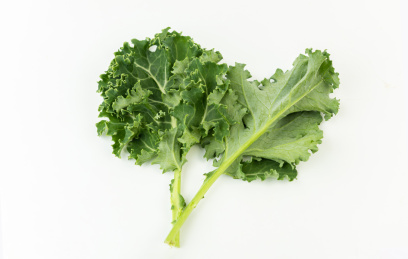 新鲜的羽衣甘蓝