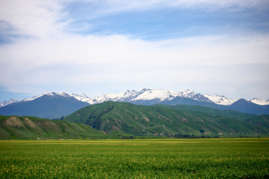 中国新疆伊犁昭苏草原