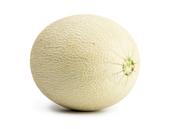 新鲜的网纹蜜瓜在白色背景上