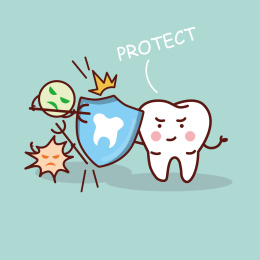 盾牌隔绝细菌 保护牙齿插图