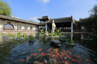 莫愁湖公园风景