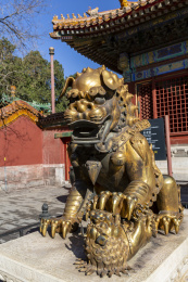 北京故宫外东路：养性门前鎏金铜狮