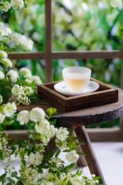 放在春日绿植里木桌上的玻璃杯里的茶水