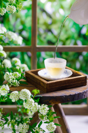 向放在茶盘里的茶杯倒入中国春茶