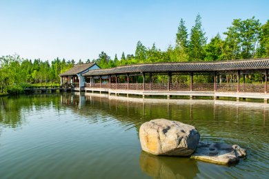 中国浙江萧山湘湖旅游度假区湘湖观鱼