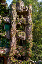 户外公园里假山石头建成的爬满爬山虎的建筑