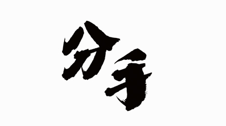中国书法字体分手