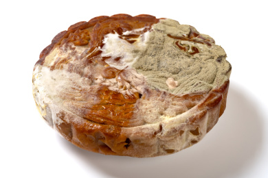 发霉大月饼