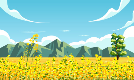 油菜花场景