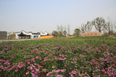 南京八卦洲陌上花渡景色