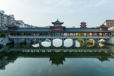 中国广西蒙山县城紫荆花开满城粉色美仑美奂