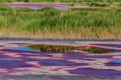 中国内蒙古阿拉善盟左旗查干呼舒红海子盐湖自然